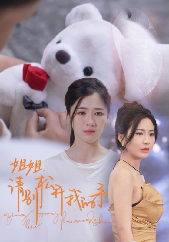 姐姐请别松开我的手封面