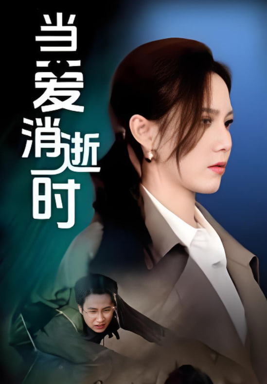 当爱消逝时封面