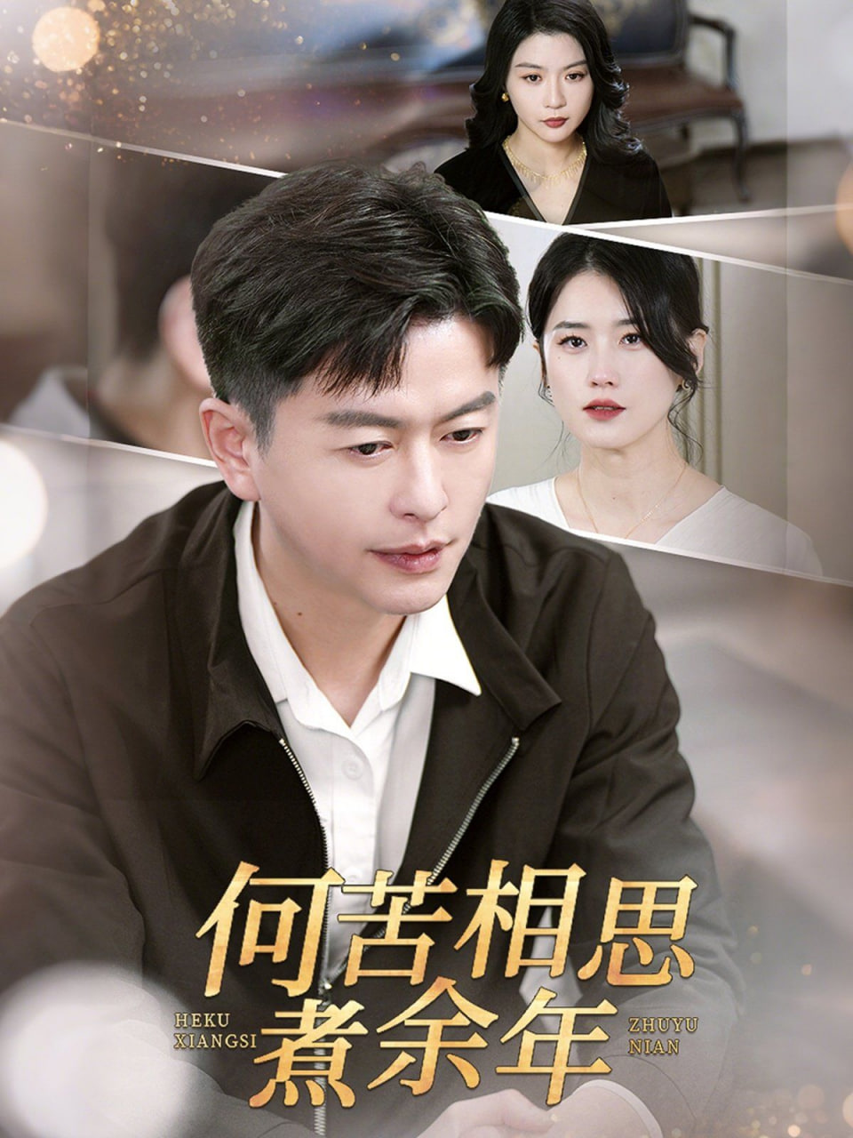 何苦相思煮余年封面