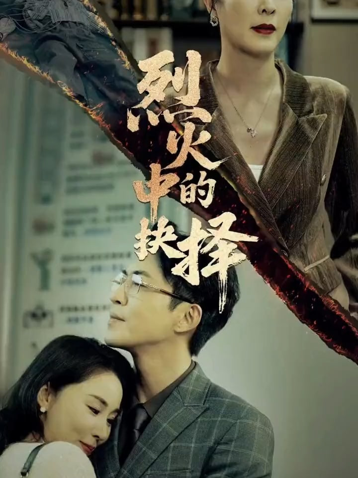 烈火中的抉择封面