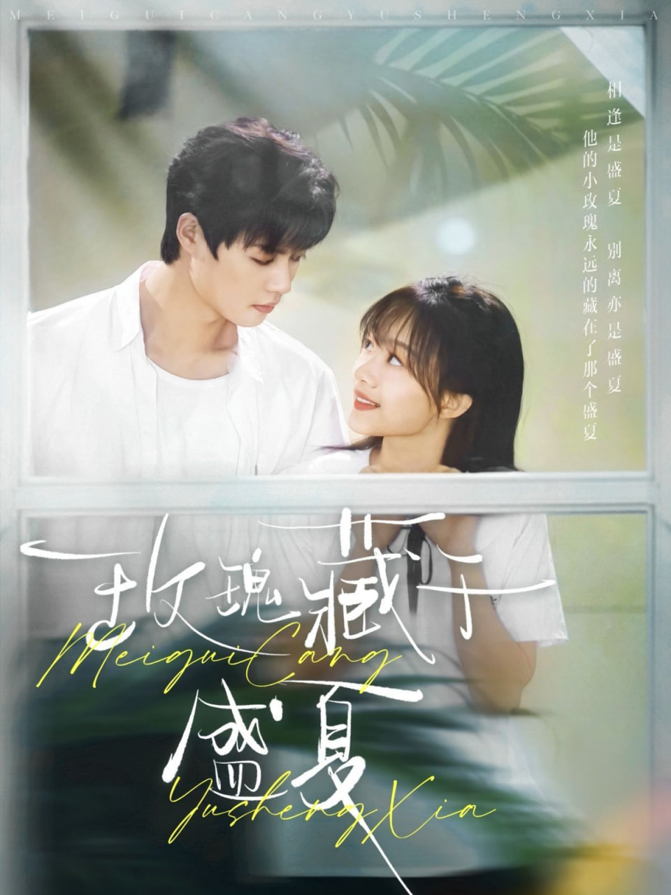 玫瑰藏于盛夏封面