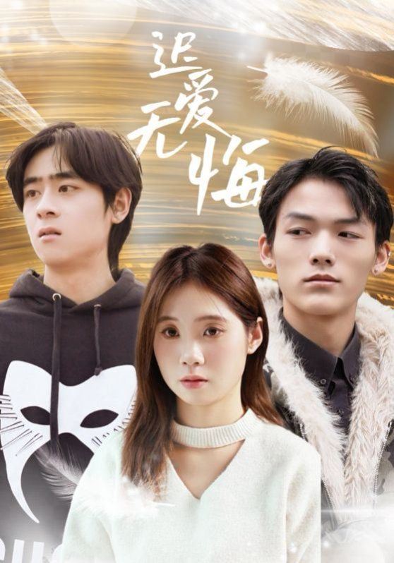 迟爱无悔封面
