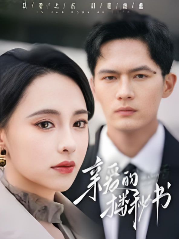 亲爱的楼秘书封面