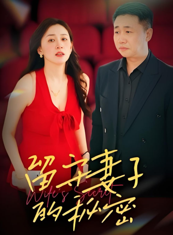 留守妻子的秘密封面