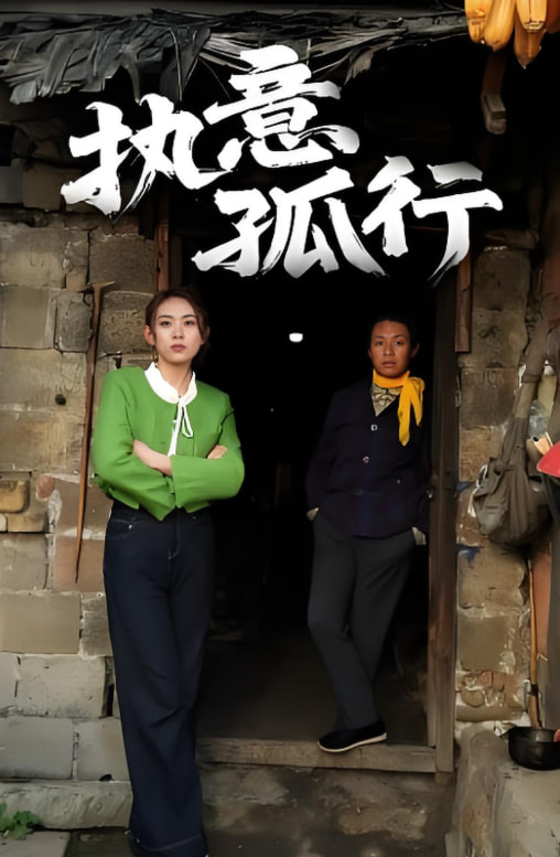 执意孤行封面