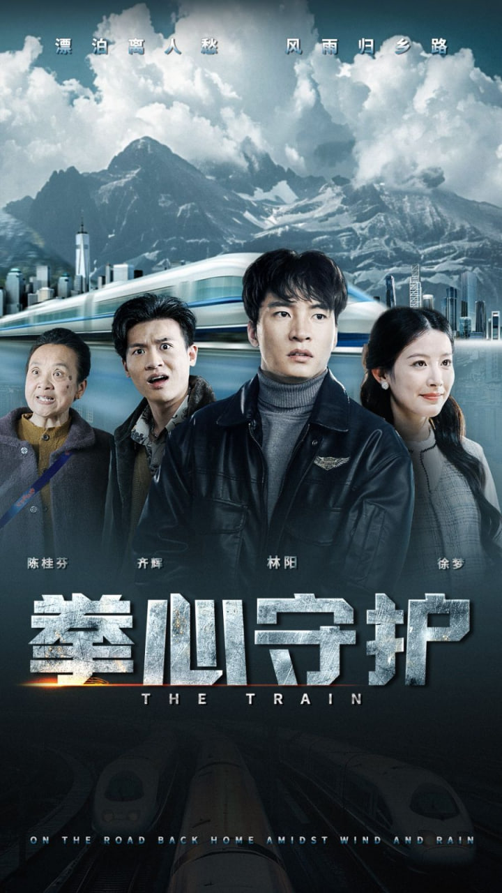 拳心守护封面