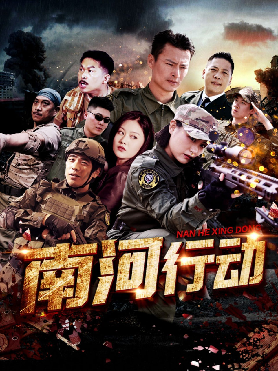 南河行动封面