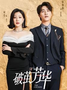 破茧芳华封面