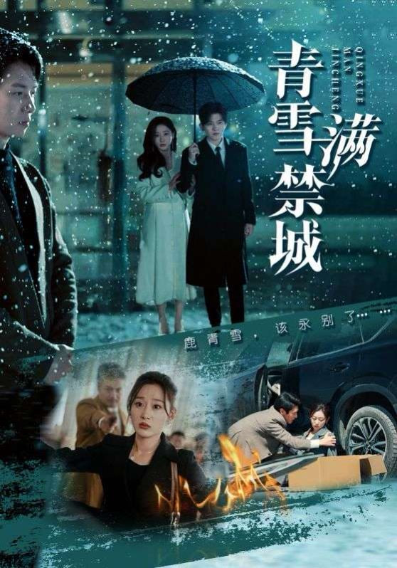 青雪满禁城封面