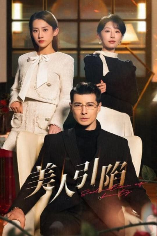 美人引陷封面