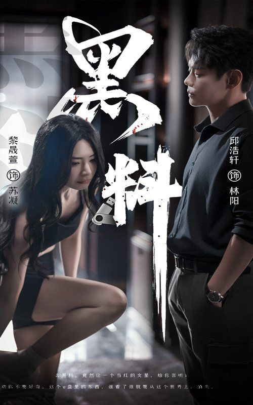 黑料（紫雾之下）封面