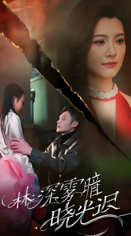 林深雾暗晓光迟封面