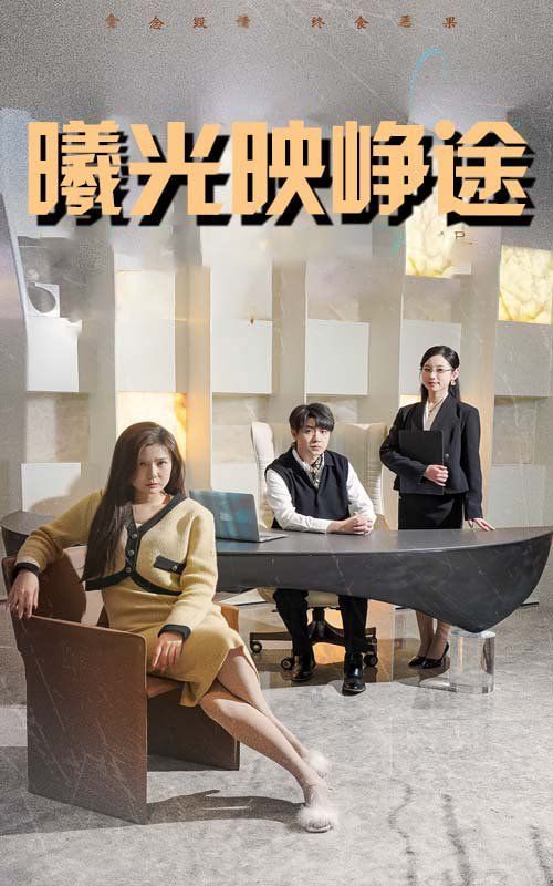 曦光映峥途（错把瓦砾当明珠）封面