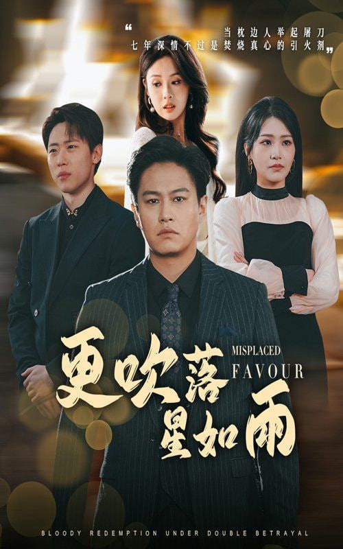更吹落星如雨封面