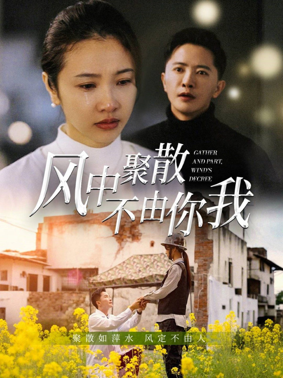 风中聚散不由你我封面