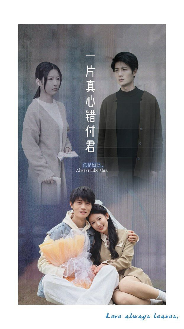 一片真心错付君封面