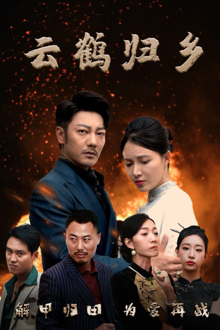 云鹤归乡封面