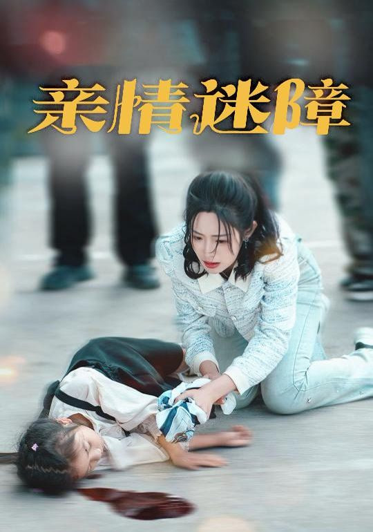 亲情迷障封面