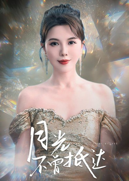 月光不曾抵达封面