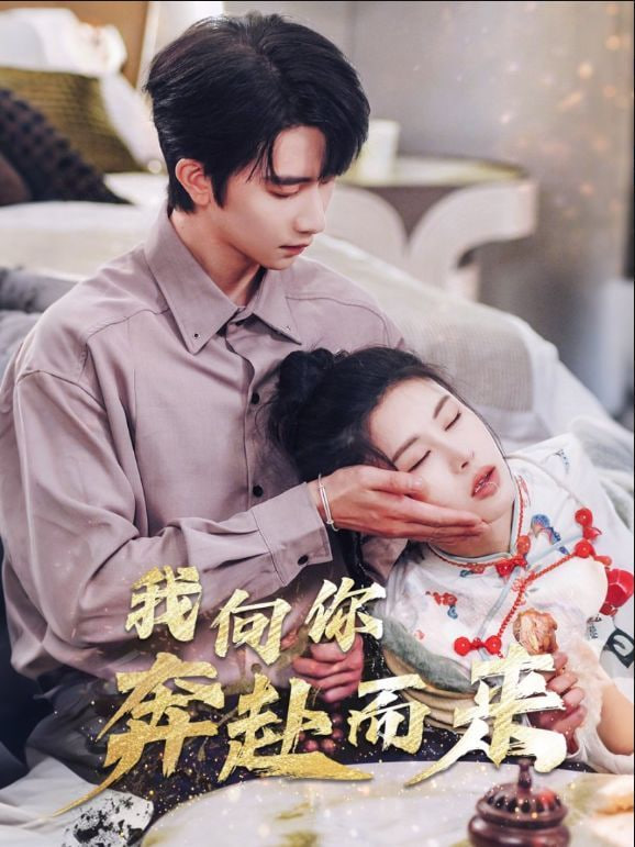 我向你奔赴而来封面