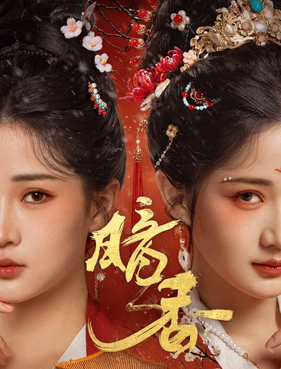 暗香封面