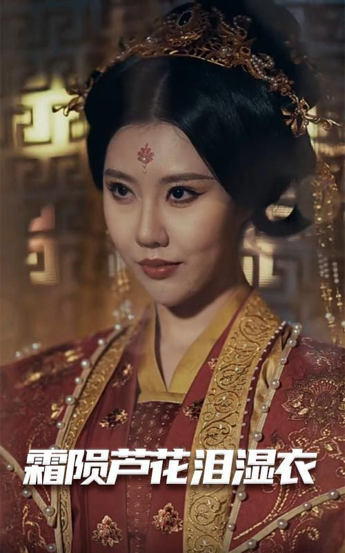 母剑照霜白（霜陨芦花泪湿衣）封面