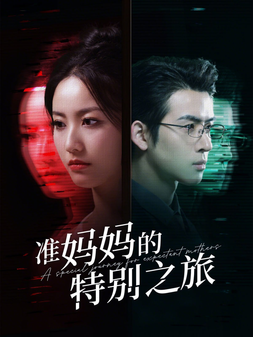 准妈妈的特别之旅封面