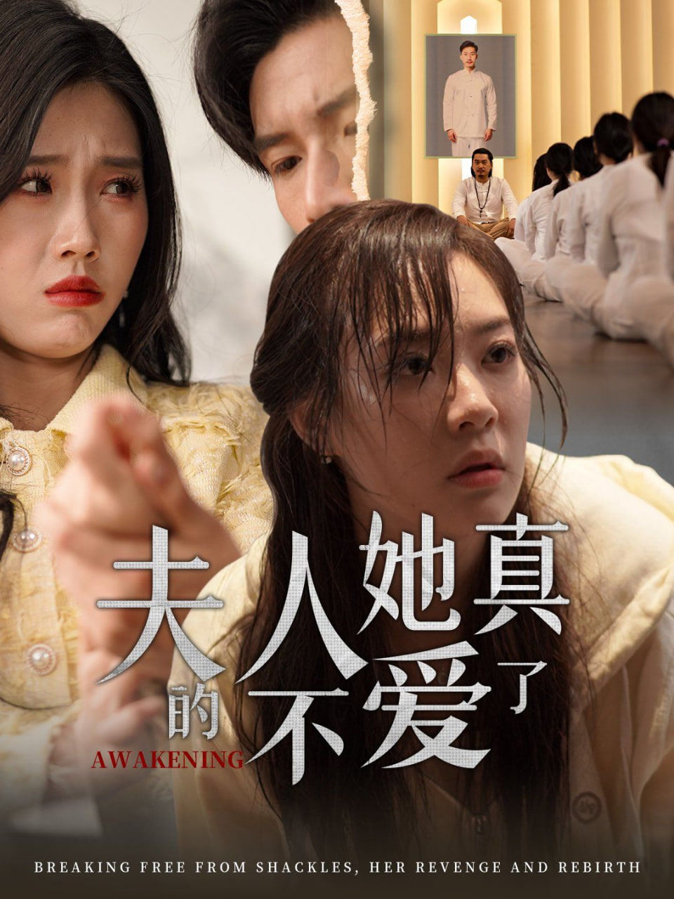 夫人她真的不爱了封面