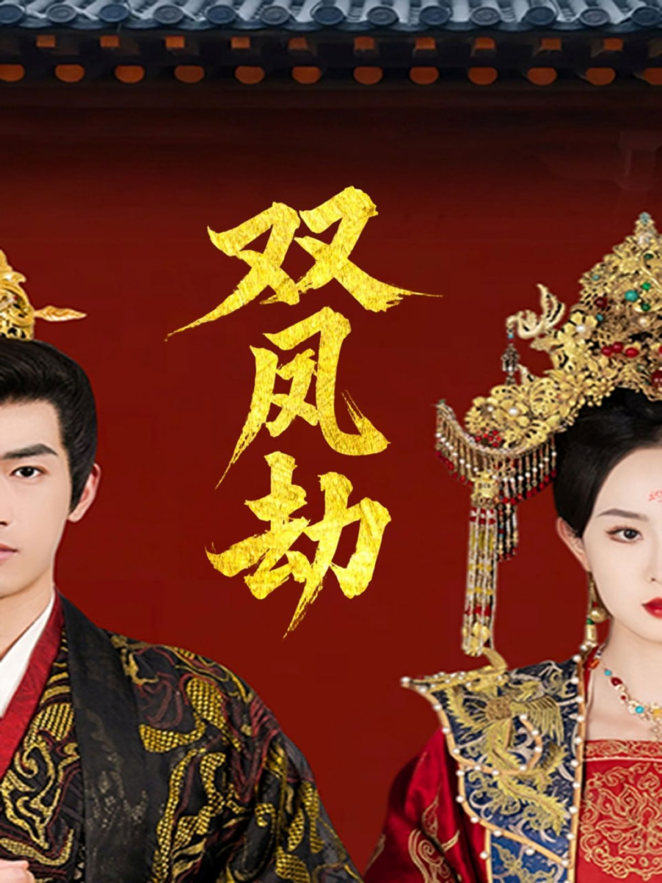 双凤劫（将军骨美人谋）封面