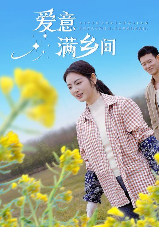 爱意满乡间封面
