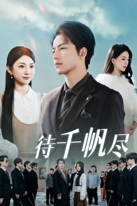 新版：待千帆尽封面