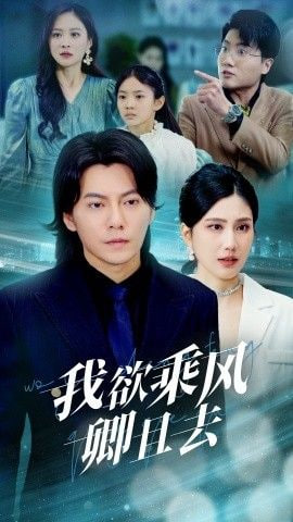 我欲乘风卿且去封面
