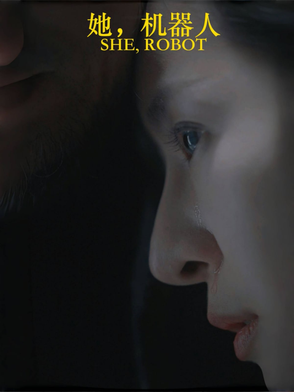 她，机器人