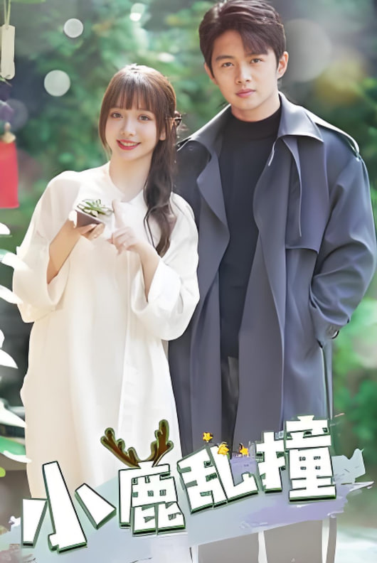 小鹿乱撞封面