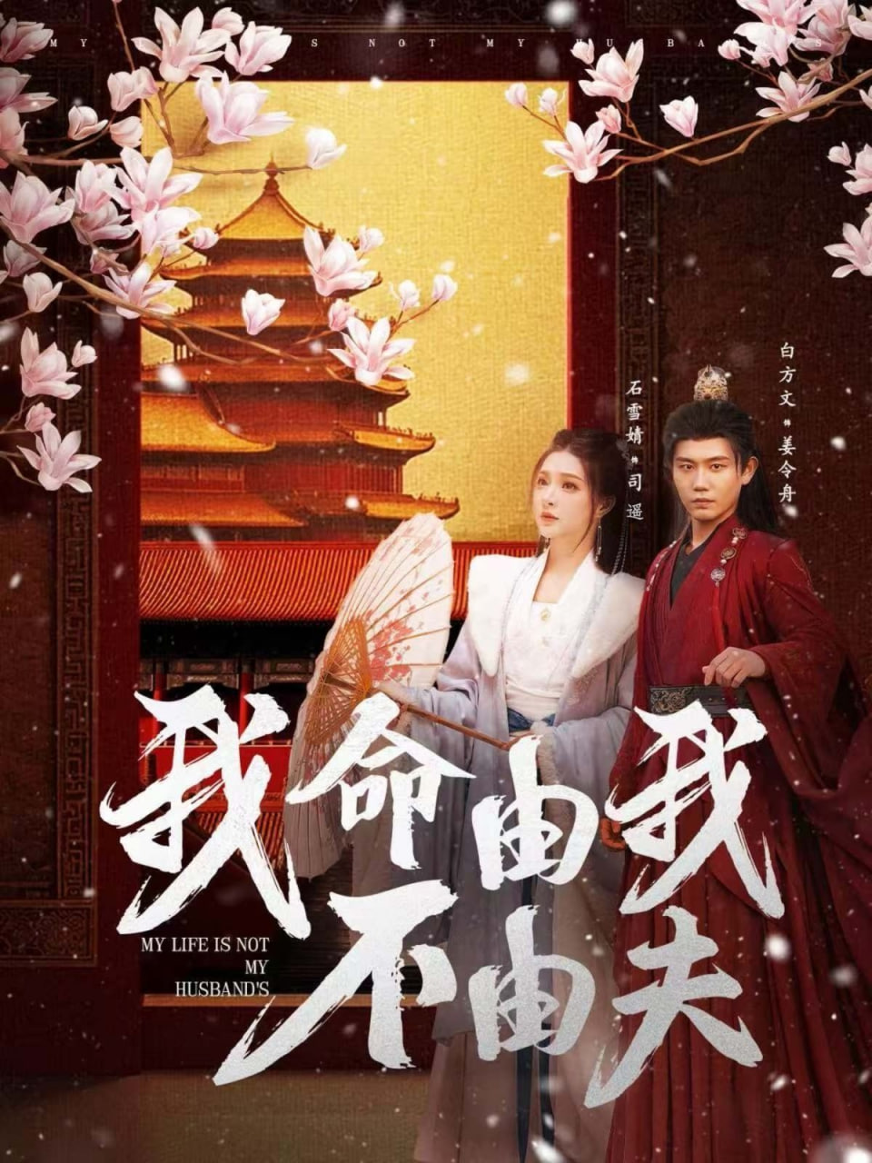 我命由我不由夫封面