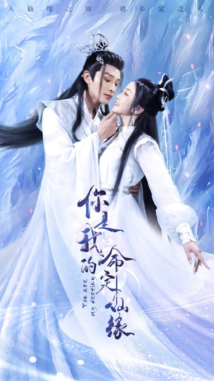 你是我的命定仙缘封面