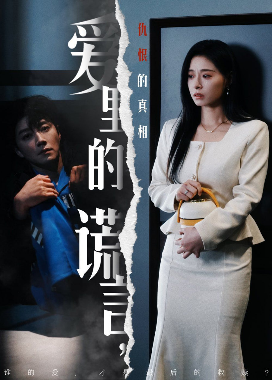 爱里的谎言，仇恨的真相封面