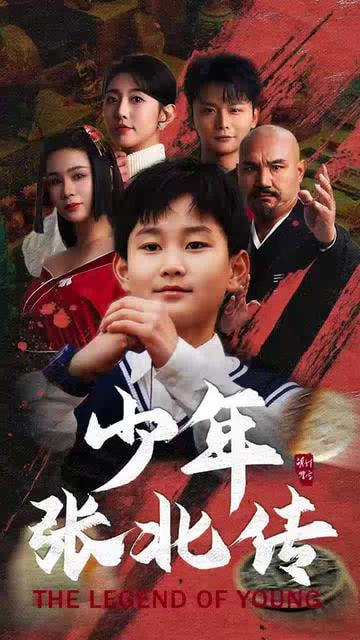 少年张北传封面