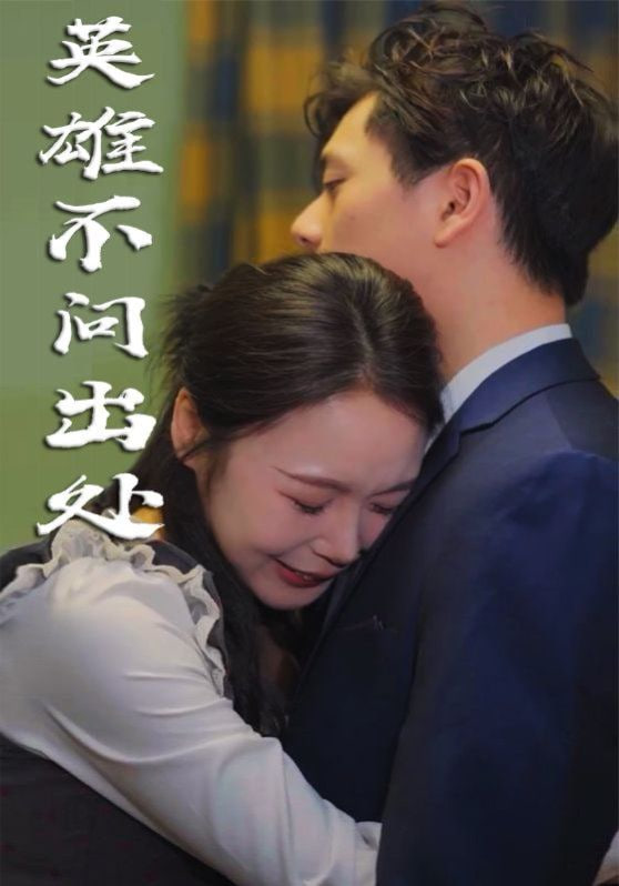 英雄不问出处封面