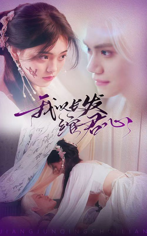 我以长发绾君心（将军请垂怜）封面
