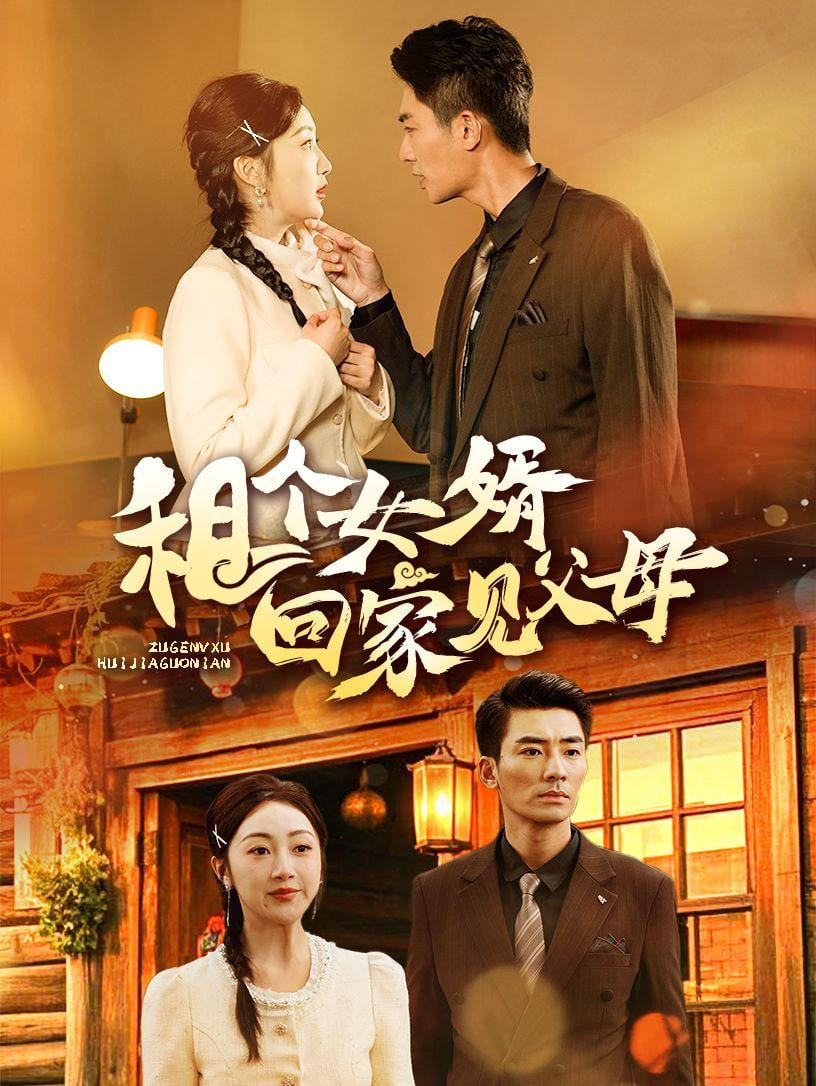 租个女婿回家见父母封面