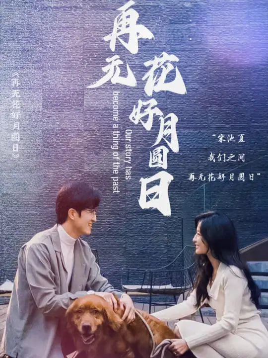 再无花好月圆日封面