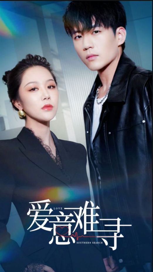爱意难寻封面