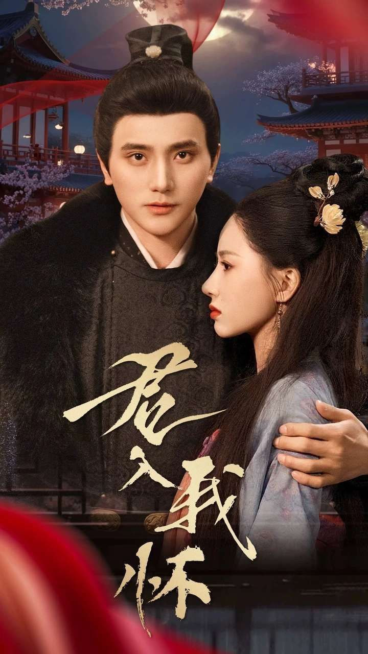 君入我怀封面