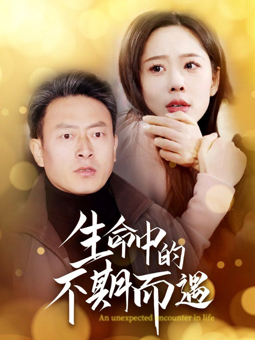 生命中的不期而遇封面