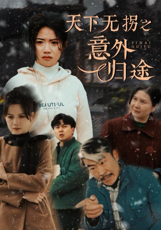 天下无拐之意外归途封面