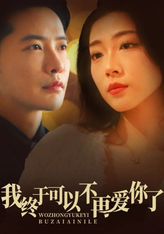 我终于可以不再爱你封面