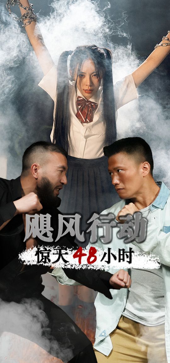 飓风营救惊天48小时封面