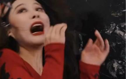 重生八九空手套白狼封面