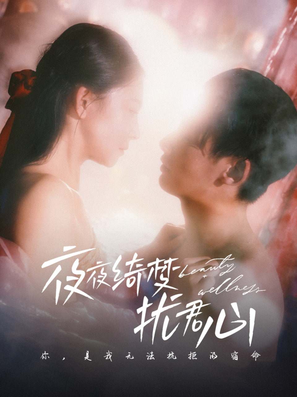 夜夜绮梦扰君心封面